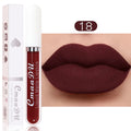 Sexy Long Lasting Velvet Matte Liquid Lipstick, Maquiagem, Mulheres Beleza, Vermelho, Antiaderente, Impermeável, Lip Gloss