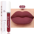 Sexy Long Lasting Velvet Matte Liquid Lipstick, Maquiagem, Mulheres Beleza, Vermelho, Antiaderente, Impermeável, Lip Gloss