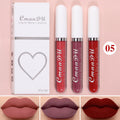 Sexy Long Lasting Velvet Matte Liquid Lipstick, Maquiagem, Mulheres Beleza, Vermelho, Antiaderente, Impermeável, Lip Gloss